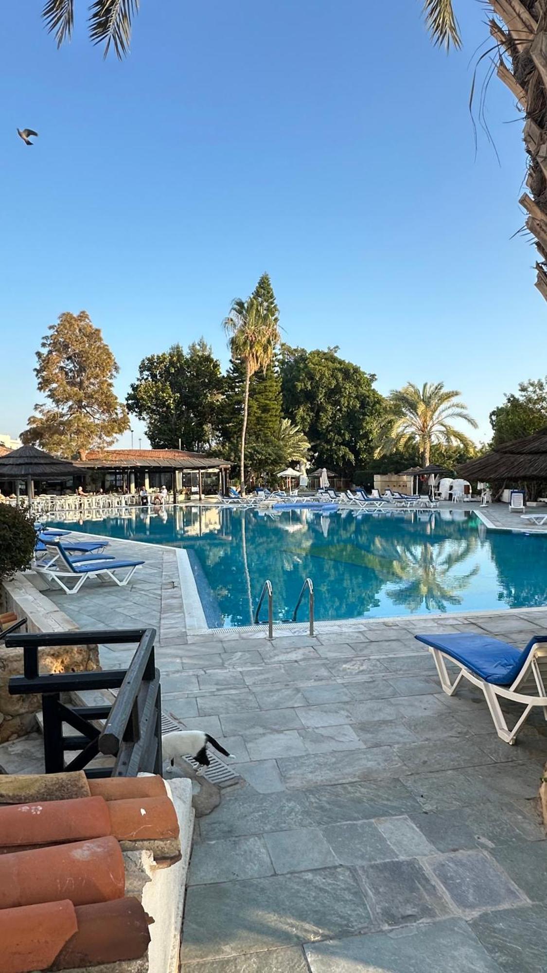 Paphos Gardens Studio Suite Екстериор снимка