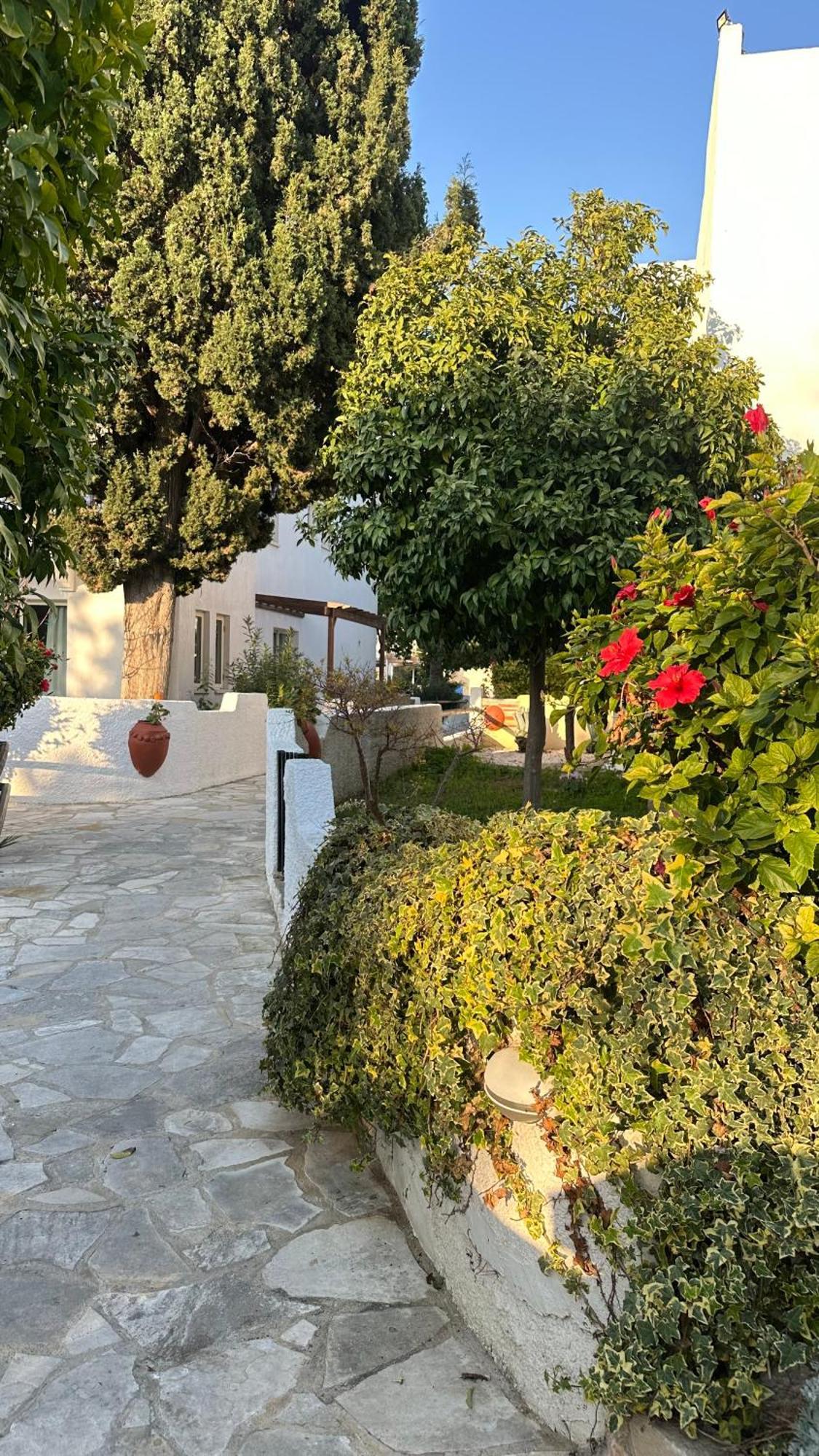Paphos Gardens Studio Suite Екстериор снимка