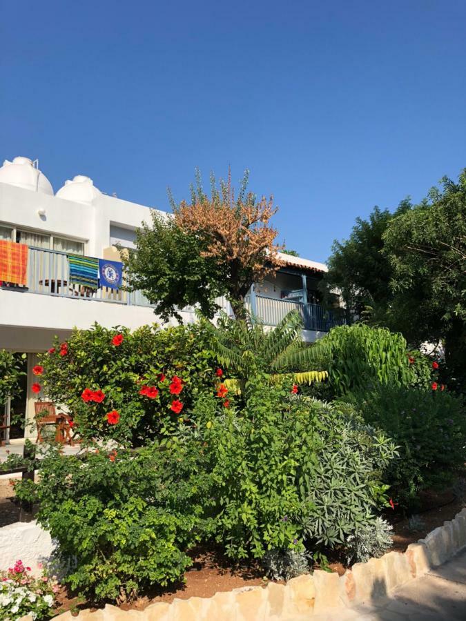 Paphos Gardens Studio Suite Екстериор снимка